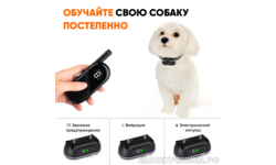 Электроошейник Amazin TZ-818 для маленьких собак от 3,5 кг